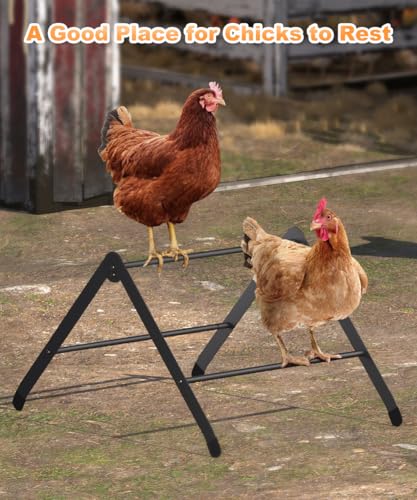 Koutemie Adjustable Chicken Perch for Coop, Heavy-Duty Metal Chick Roosting Bar for Brooder, Baby Chicks Stand Toy Training Perches for Large Bird Parrot Hens Macaw, Black