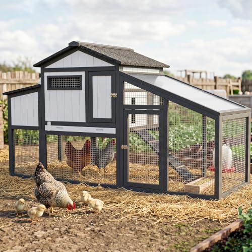 Ketive Chicken Coop with Run, Wooden Outdoor Hen House with 2 Nesting Boxes | Small Backyard Hen House for 1-2 with Predator-Proof Iron Mesh, 2 Perches, Pull-Out Tray, Expandable,Weatherproof Roof,65.3"L - size: 65.3"L x 26.0"W x 39.2"H
