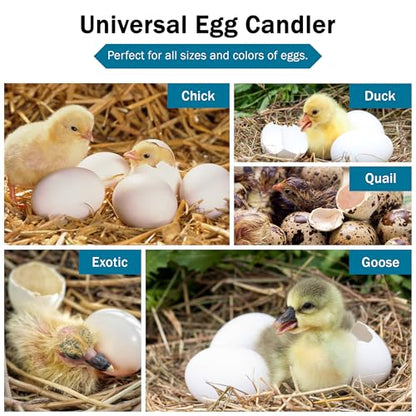 Incu-Bright™ Ultra Bright LED Egg Candler - Portable Light for All Egg Size