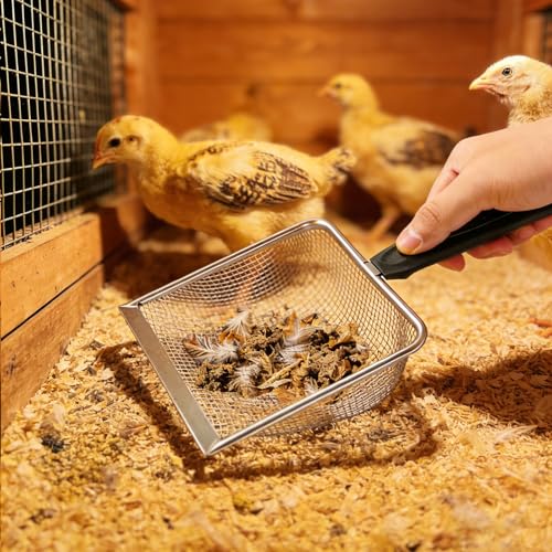 2 Pack Chicken Poop Scooper for Coop, Mesh Sifting Shovel with 3.8mm & 5mm Holes, 5.5" Metal Chicken Coop Rake and Scoop Cleaning Tool, Scooper Shovel for Sifting Sand, Litter, Chicken Supplies (5.5") - size: 5.5" 2 Set