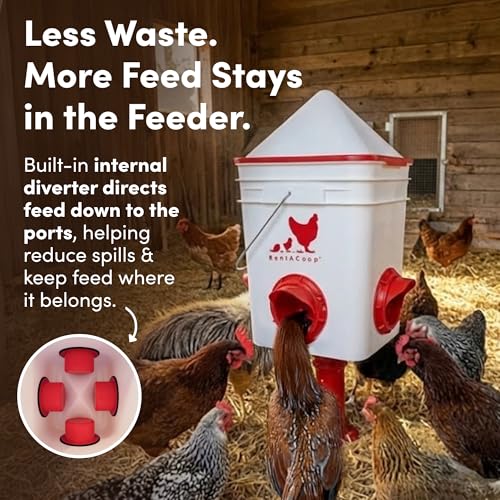 RentACoop Chicken Feeder & Waterer Set– 25lb No-Waste Feeder with 4 Large Ports + 5-Gallon Waterer with Auto-Fill Cups & Horizontal Nipples – BPA-Free, Anti-Roost Cone, Adjustable Stands