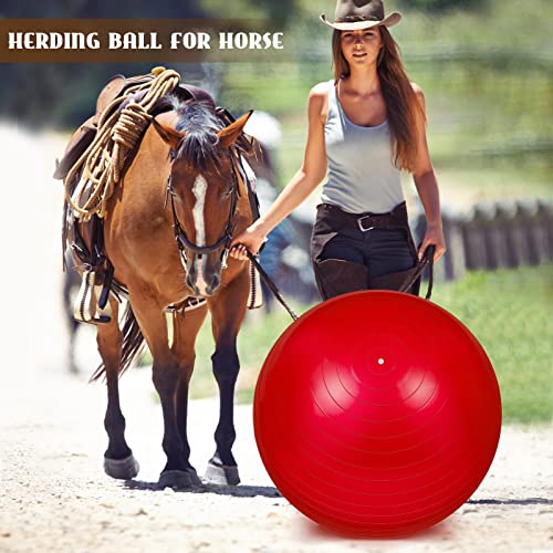 Sotiff 2 Pcs 40 Inch Horse Ball for Play Large Horse Big Equine Herding Anti Burst Dog Ball Soccer Giant, Pump Included(40 Inch,Red) - color: Red