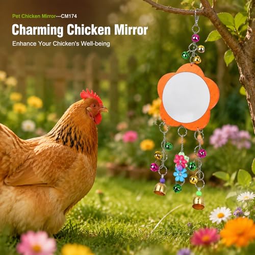 Pet Chicken Mirror Toy with Bells, 5.3 Inch Mirror, 18.9 Inch Chain - Durable, Broken, Stimulates Play and Communication for Pets