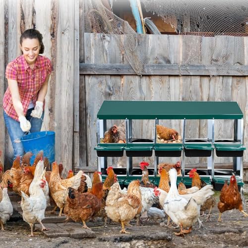10 - Compartment Roll Away Chicken Nesting Box, Wall - Mount Laying Egg Box with Easy Egg Collection & Cleanable Pull - Out Trays, Hen Roosting Boxes for Efficient Egg Laying（Green）