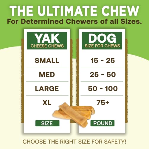 EcoKind Yak Cheese Himalayan Dog Chews, Yak Chews for Large Dogs, Long Lasting Bone for Aggressive Chewers, 3 Ingredient Natural High Protein Dog Treat, No Additives or Lactose, Large - 4 Chews (1 lb)