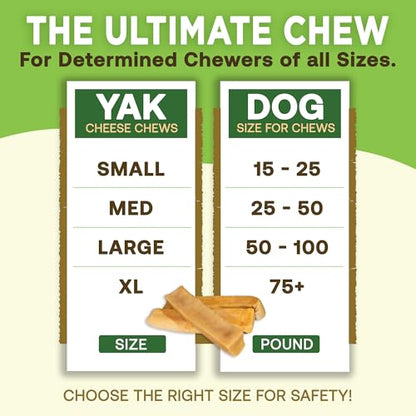 EcoKind Yak Cheese Himalayan Dog Chews, Yak Chews for Large Dogs, Long Lasting Bone for Aggressive Chewers, 3 Ingredients, Natural High Protein Treats, No Additives, Lactose Free, Large 1lb, 4-5 Chews