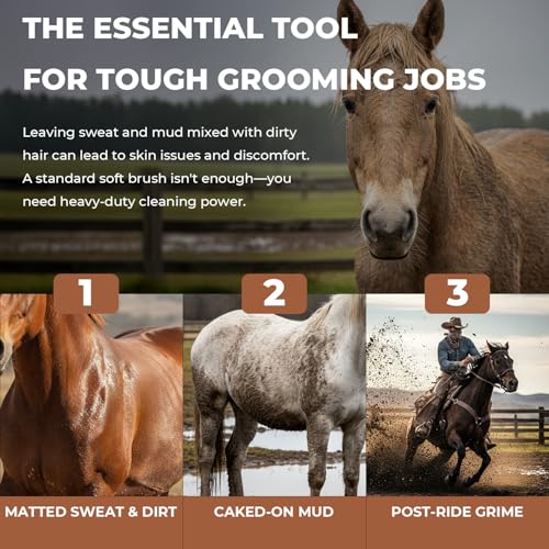 HOP Professional Equine Stiff Body Brush – Heavy Duty Mud & Sweat Remover – Natural Hard Bristles with Ergonomic Wood Handle – Adjustable Leather Strap for Grooming Horses & Livestock