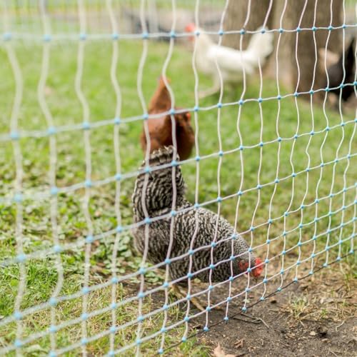 42" x 164' Electric Poultry Netting | Double Spiked Fiberglass Posts | Electric Fencing for Chickens in Backyards, Homesteads, Farms, and Ranches