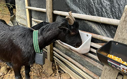 Chicken Feeder Waterer, Goat Feeder - 2 Pack, 5.5 Quart, for Goats Chickens Duck Sheeple Dogs Piglets Deers Gooses, Turkeys, Goat Supplies(Appearance Patent Product) - color: Dark green