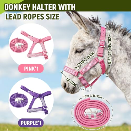 2 Set Miniature Donkey Halter with Lead Ropes, Cute and Stylish Adjustable Nylon Head Collar Set for Miniature Donkeys (Purple,Pink) - color: Purple,Pink