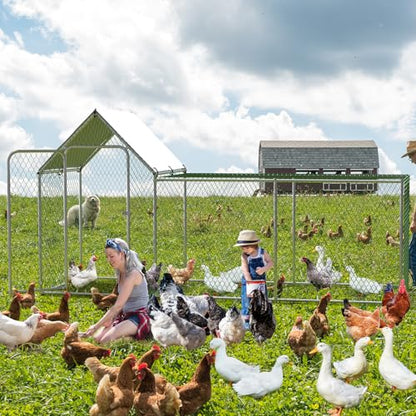 Chicken Coop, Large Metal Chicken Run, Outdoor Chicken Pen with Waterproof and Anti-UV Cover, Walk-in Chicken House with Lockable Door, for Yard, Farm Use, 10' W x 3.3' D x 5' H