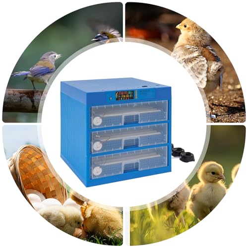 Automatic Egg Incubator, Digital Poultry Hatcher with LED Display, Auto Temperature & Humidity Control, for Chicken Duck Goose Quail Parrot Eggs, Dual Power 110V/12V (192 Eggs) - color: 192 Eggs