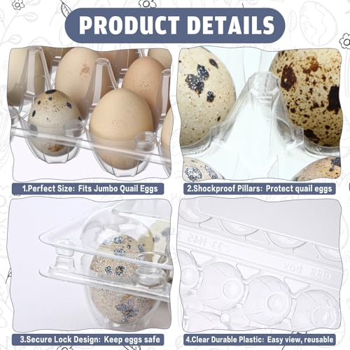 Remerry 120 Pcs Giant Quail Egg Cartons 12 Grids Clear Plastic Stackable Trays for Jumbo Quail Eggs, Pigeon Eggs, Small Poultry, Great for Home Fridge Storage, Farm, Market, Gift Box Packing