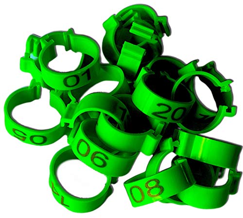 Chicken Leg Rings - 20 Numbered Tag Markers for Adult Birds | 5/8” to 3/4” Legs | Clip On Poultry Ankle Bands for Gamefowl, Ducks, Guineas | Colored ID Legband for Breeding Marking, & Banding | Fowls - color: Green, size: LARGE