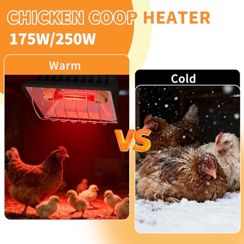 2 Pack 250W Chicken Coop Heat Lamp with Guard, Adjustable Temperature Brooder Heater, 175W/250W Infrared Heating Lamp for Chicks, Ducklings, Poultry, Livestock & Small Pets - size: 2 Pack
