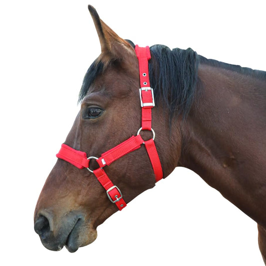 Adjustable Horse Halter with Polar Fleece Lined, Rope Halters, Equestrian Horse Riding Headcollar with Satin Hardware, Prevents Rubs, Adjustable Fit,Great for Trailering & Shows - color: Red, size: Large