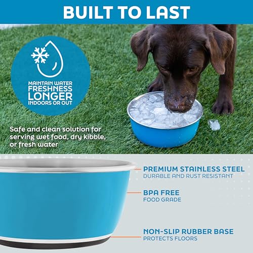 Master Pet Supply Stainless Steel Dog Bowls Set of 2 (16 Oz Each) with Non-Slip Rubber Base - Pistachio - Basic Dog Food Bowl Water & Food Bowls for Small Medium Large Dogs & Cats, Metal Dish - color: Pistachio, size: 2 Cups (16 oz) 2 Pack