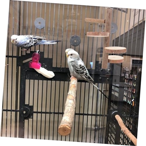 Bird Parrot Perch Stand Platform Natural Wood Playground Paw Grinding Toy for Birds Easy to Install Safe and Chewing Activity for Parakeets Cockatiels and Lovebirds