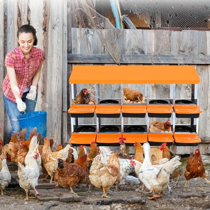 Nesting Boxes for Chickens, 10 Compartments Chicken Nesting Box, Chicken Laying Boxes with Lid Cover, Roll Away Nesting Box for Chickens Laying Egg, Orange