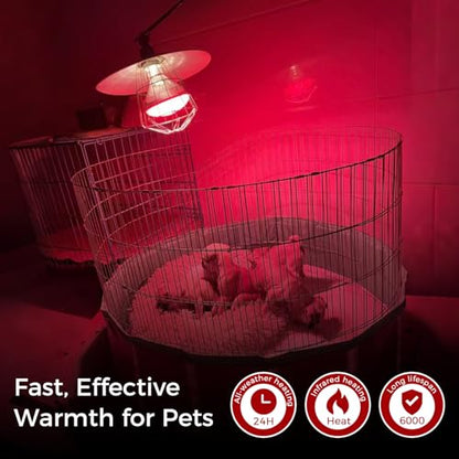 Infrared Heat Lamp for Chickens, 250 Watts Red Heat Lamp Bulb, Heat Light Bulb for Brooder Coop, Food Service, Chicks, Pet, Reptile, 1 Pack - size: 1 Count (Pack of 1)