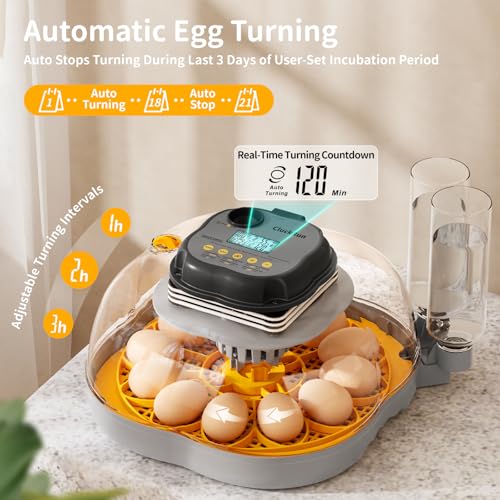 Chicken & Quail Egg Incubator, 12 Egg Incubators for Hatching Eggs, Two Egg Trays, Automatic Egg Turning with Auto Stop, Incubation Day & Period, Auto Refill, Egg Candler, Air Vent, 360° Clear View - size: 12 Eggs + 30 Quail Eggs