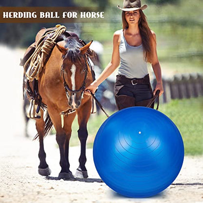 Sotiff 2 Pcs 40 Inch Horse Ball for Play Large Horse Big Equine Herding Anti Burst Dog Ball Soccer Giant, Pump Included(40 Inch,Blue and Red) - color: Blue and Red
