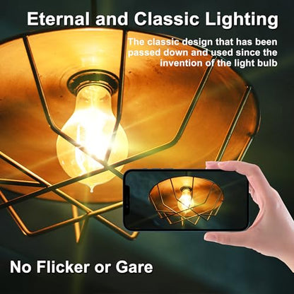 Warm Incandescent Light Bulbs 60 Watt,A19/A60 Vintage Style Edison Bulbs E26,Soft Yellow Light Bulbs,Amber Bulbs,Retro Light Bulb Old Fashioned,Halogen Dimmable Edison Bulb Squirrel Cage 12 Pack - size: 12 Count (Pack of 1)