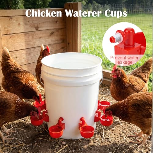 Chicken Oyster Shell Feeder and Grit Feeder and 6 Pcs Automatic Chicken Waterer Cup, Metal Hanging Poultry Feeders and Plastic Poultry Water Cup, Coop Accessories, Black+Red