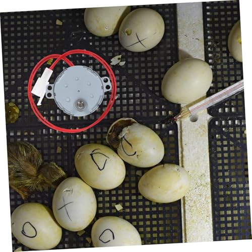 Happyyami Incubator Motor Egg Turner for Chicken and Poultry Durable Electric Rotator Convenient Motor Accessory for Egg Hatching Standard Incubators