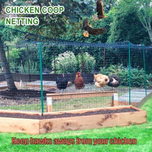Anti-Bird Netting for Garden Chicken Coops - 1" Mesh Garden Netting Over Garden Hoops, Poultry Roof Netting, 25x50 ft Black Netting for Blueberry Bushes, Fruit Trees, Plants Against Squirrels - size: 1", 25' x 50'