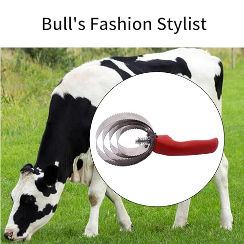 RUIAN Curry Comb Reversible Stainless Steel Curry Comb with Soft Touch Grip Multifunctional Stainless Steel Fine Tooth Pet Horse Grooming, Red
