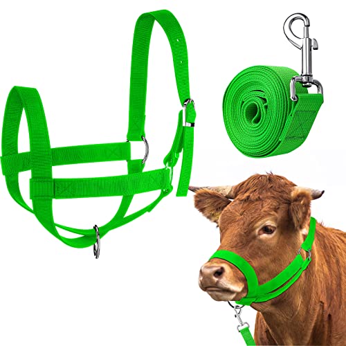 Hillban Cow Halter Cattle Halters Adjustable Calf Halter with Leading Rope for Miniature Horse Donkey Goat Foal Nylon Cattle Training Supplies - color: Green, size: Large