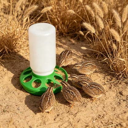 2026 New Green Chicken Feeder and Waterer Set,1L No Waste Hanging Chick Feeder and Waterer Kit,Automatic Poultry Water Dispenser for Baby Chicks,Quail,Ducklings,and Small Birds Brooder Supplies