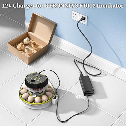 12V Charger Replacement for KEBONNIXS KDI-12 KDI12 Incubator Humidity Display Egg Candler Automatic Egg Turner Power Supply for Hatching Chickens BX-1204000 BX1204000 AC Adapter DC12V Power Cord