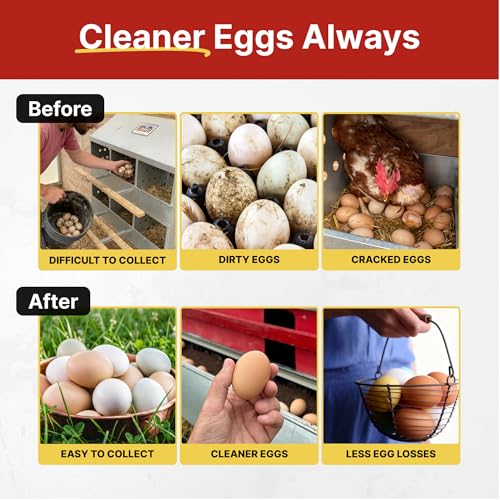 HenGear Nesting Boxes for Chickens, Nest Box with Rollout Egg Collection, Nesting Pads for Cleaner Eggs, Reversible Accessories for Chicken Coop, G90 Galvanized, Made to Last, X-Large, Up to 75 Hens - size: 75 HENS