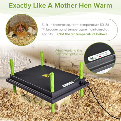 Tetuga Chick Heating Plate - 12 x 16 Inch Chicken Heater Plate for Chicks with Adjustable Height & Angle - 30W Safer Than Brooder Lamp Warms Up to 40 Chicks - size: 12x16 Inch