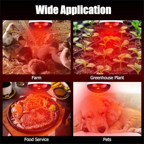 250W Infrared Heat Lamp for Chicken, Red Heat Light Bulb R125 2 Pack, Heat Lamp Bulb for Chick Croop, Reptiles, Pets, Food - size: 2 Piece