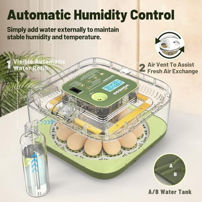 12 Egg Incubator with Automatic Egg Turning and Humidity Control, LED Egg Candling Light, Customized Incubation Days, Incubators for Hatching Eggs, Chicken Quail Parrot Pigeon Birds, Green - color: Green