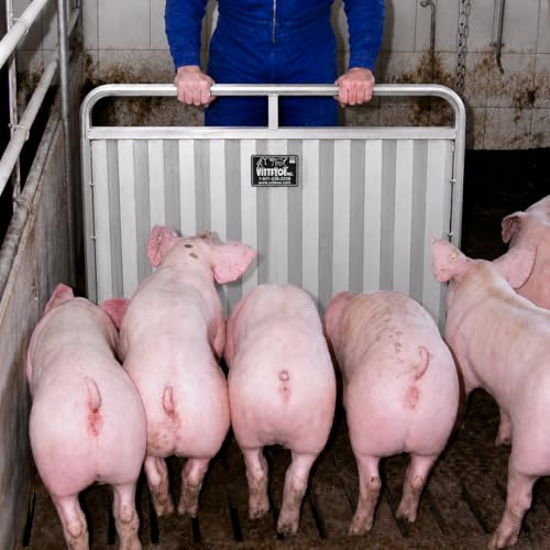 4' Foot Livestock Aluminum Sorting Panel, (48" x 34") Lightweight and Durable Livestock Panels to Guide Pigs, Cattle, Goats, Sheep. Versatile Livestock Handling Equipment | Lightweight