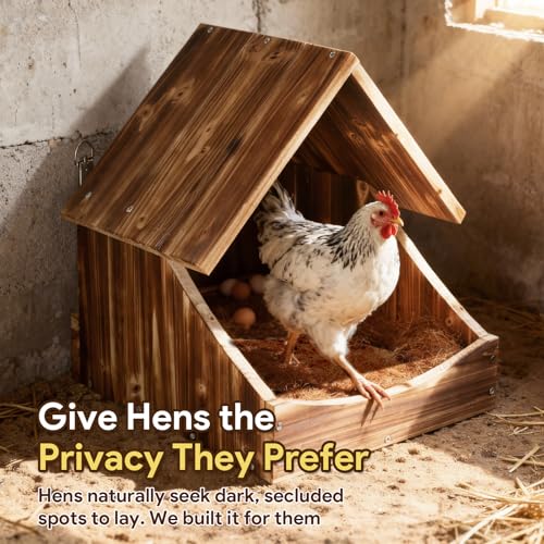 Chicken Nesting Boxes, 3 Pack Wall-Mounted Wooden Nesting Box,Specialized for Chicken Coops, Features a Cozy & Private Laying Space, Suitable for Chickens, Ducks and Other Poultry - color: 3 Pack