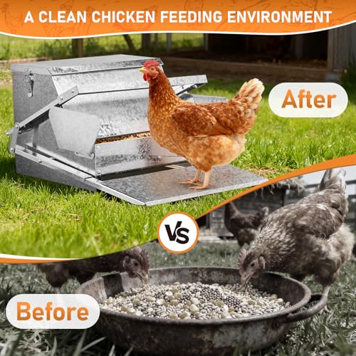 Outvita Automatic Treadle Chicken Feeder, 25 Lbs No Waste No Spill Rodent Proof Metal Chicken Feeder with Weatherproof Lid, Chicken Supplies for Your Chickens Duck Bantams Pheasants Poultry Coop