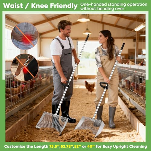 Chicken Poop Scooper Rake: 15in Extra Large Rake and Shovel,Chicken Pooper Scooper with Plastic Handle,Metal Chicken Coop Accessories,Tool for Manure Cleaning in Small Poultry and Stable