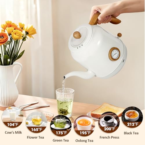 1.2L Electric Gooseneck Kettle with thermometer, Tea Kettle for Boiling Water, Gooseneck Electric Kettle for Coffee & Tea - color: 1.2L