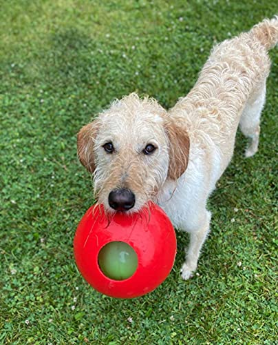 Jolly Pets Teaser Ball Dog Toy, Medium/6 Inches, Red - color: Red, size: Medium (6 in)