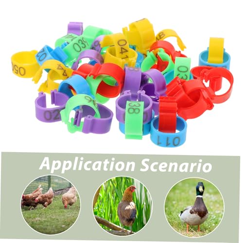 50pcs Poultry Leg Bands Durable Chicken Leg Rings for Easy Identification of Roosters Hens Lightweight Reusable Bright Colors for Marking Different Breeds