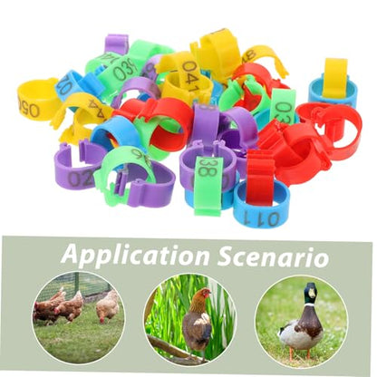 50pcs Poultry Leg Bands Durable Chicken Leg Rings for Easy Identification of Roosters Hens Lightweight Reusable Bright Colors for Marking Different Breeds