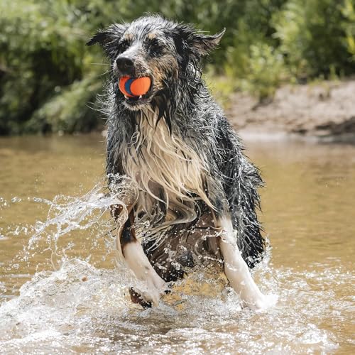 Chuckit! Ultra Ball Dog Toy - Size Large - For Dogs 60-100 lbs - Made from Durable Rubber - Super Bouncy - Floats in Water - 3-inch Diameter - Pack of 1 - color: Ultra, size: Large