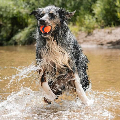 Chuckit! Ultra Ball Dog Toy - Size Large - For Dogs 60-100 lbs - Made from Durable Rubber - Super Bouncy - Floats in Water - 3-inch Diameter - Pack of 1 - color: Ultra, size: Large