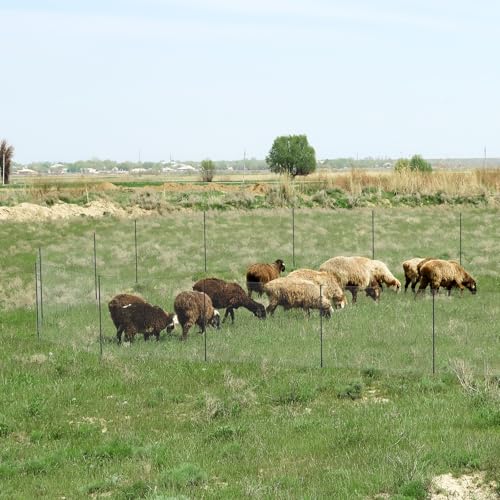 Non Electric Fence Netting 40" x164', Boundary Fence with Double Spiked Posts, Portable Poultry Fence All-Purpose Fencing for Dogs, Chickens, Ducks, Turkeys Suitable in Backyard, Garden, Farm
