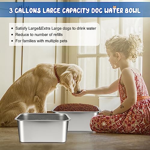 Bwogue Extra Large Dog Water Bowl, 3 Gallons, Stainless Steel, Durable, High Capacity, Rectangular Structure, Strong Stability, Easy to Clean - color: 2 Bowls, size: 3 Gallons